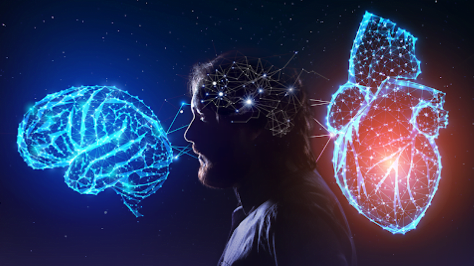 87% das pessoas fracassam por falta de inteligência emocional 11 file 14